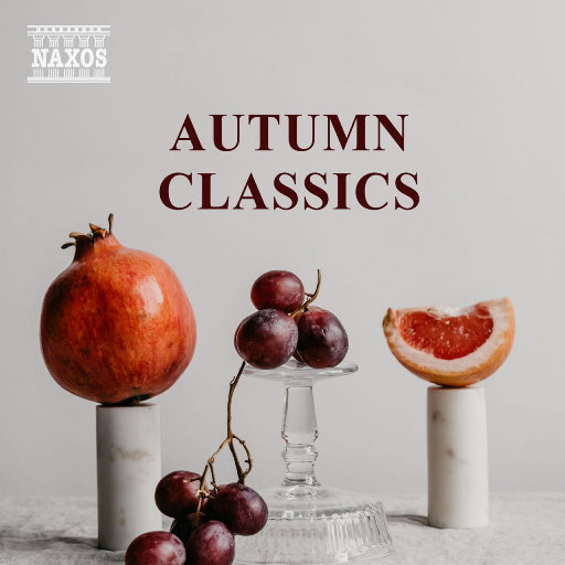 帅哥捅美女的逼视频APP
